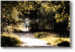 Urlaub in Schneverdingen in der Lüneburger Heide.